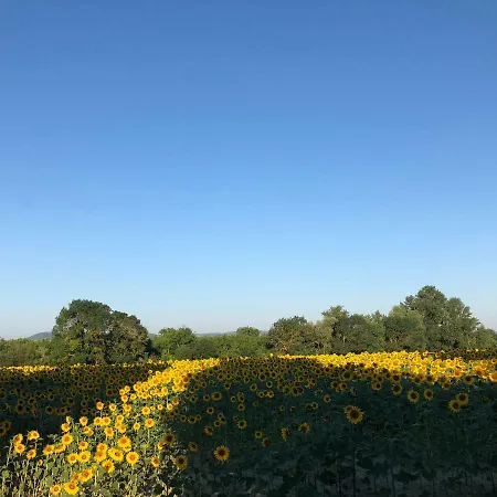 Domaine De La Forcate Apartment